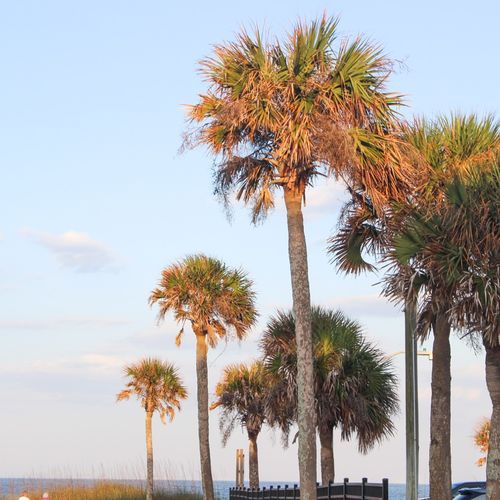 Moving to Amelia Island: A Newcomer’s First 30 Days