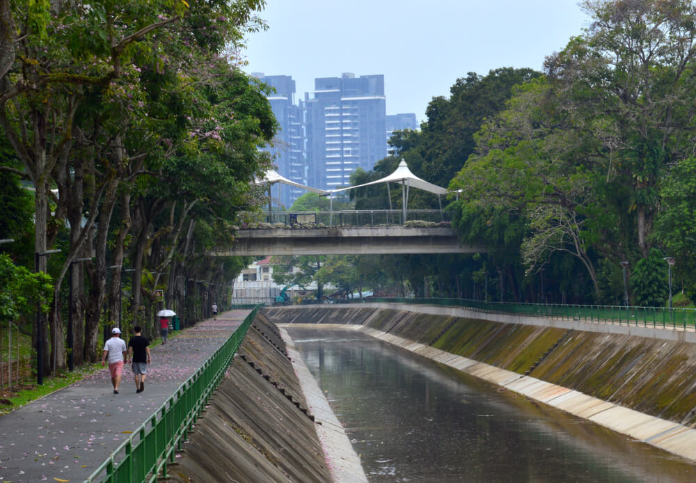 District 05: Buona Vista, West Coast and …
