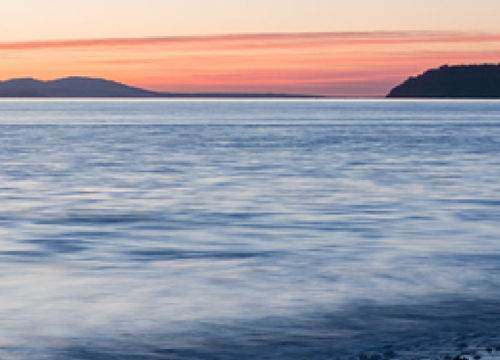 Lynwood Areas Image Resized