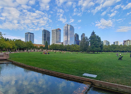 bellevue_231644277 1