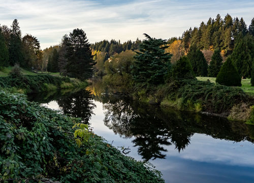 woodinville_453240983