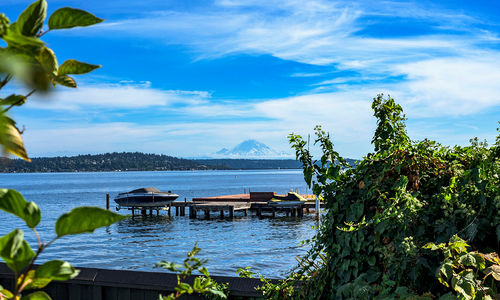 Kirkland-Houghton
