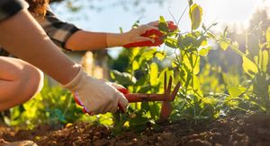 Preparing-The-Garden