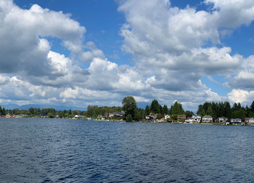 lk-stevens_441286170