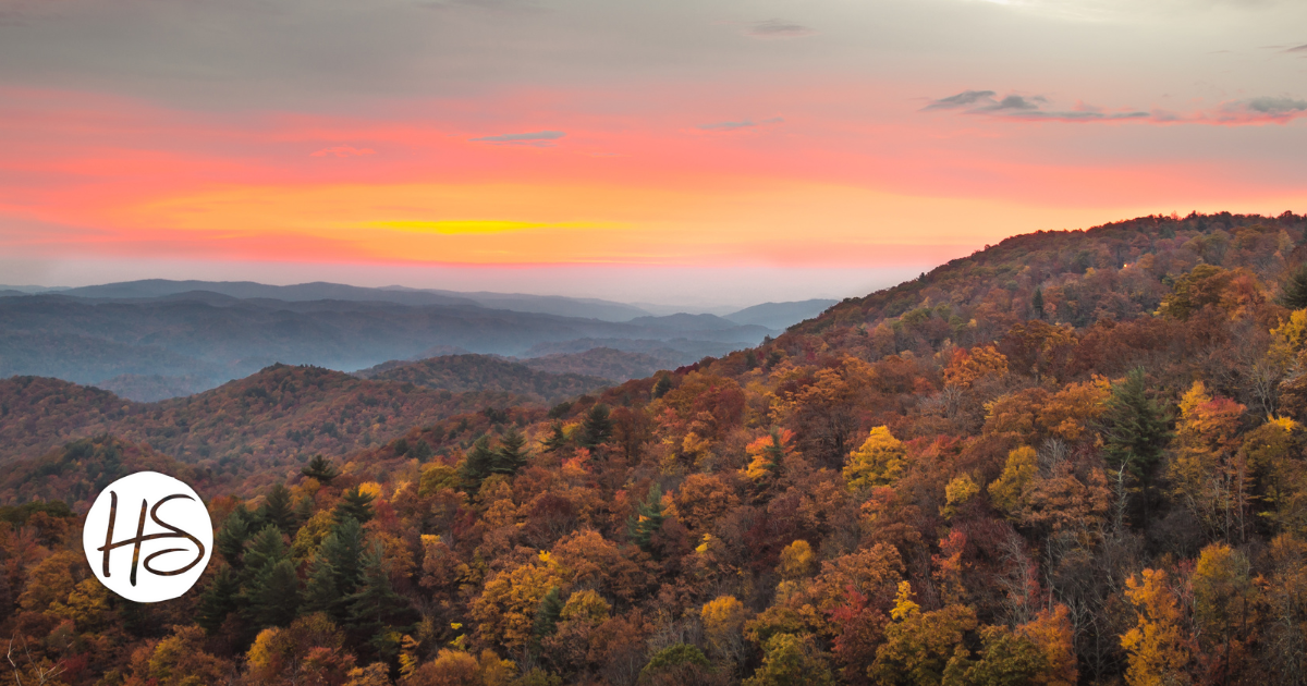 Vibrant fall foliage in Asheville, NC, with a scenic view of mountains and colorful autumn trees along the Blue Ridge Parkway.