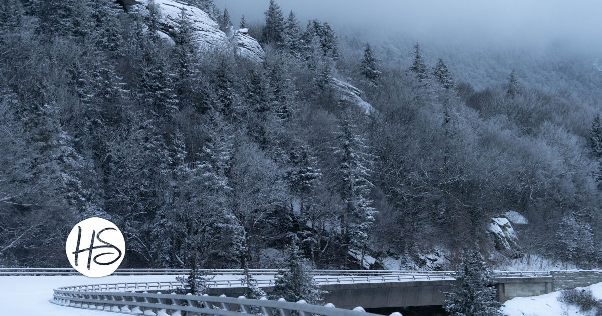 Snow-covered evergreen trees on a foggy mountainside in Western North Carolina, with a curved roadway in the foreground.