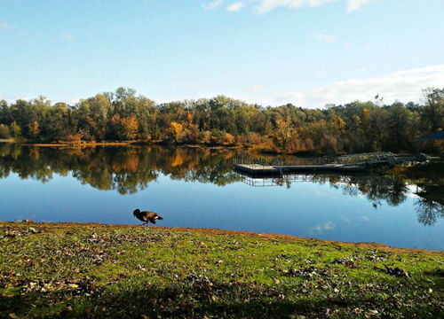 Lifestyle Redding Real Estate