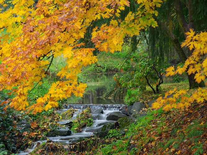 Redmond