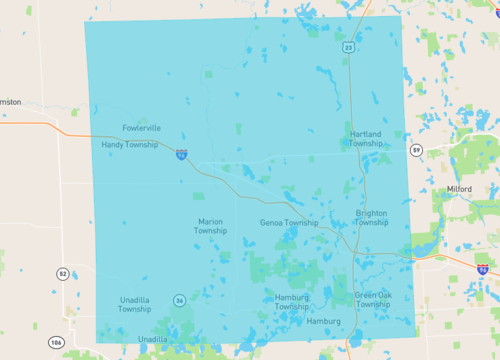 livingston county.png