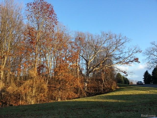 Oak Pointe vacant land sales