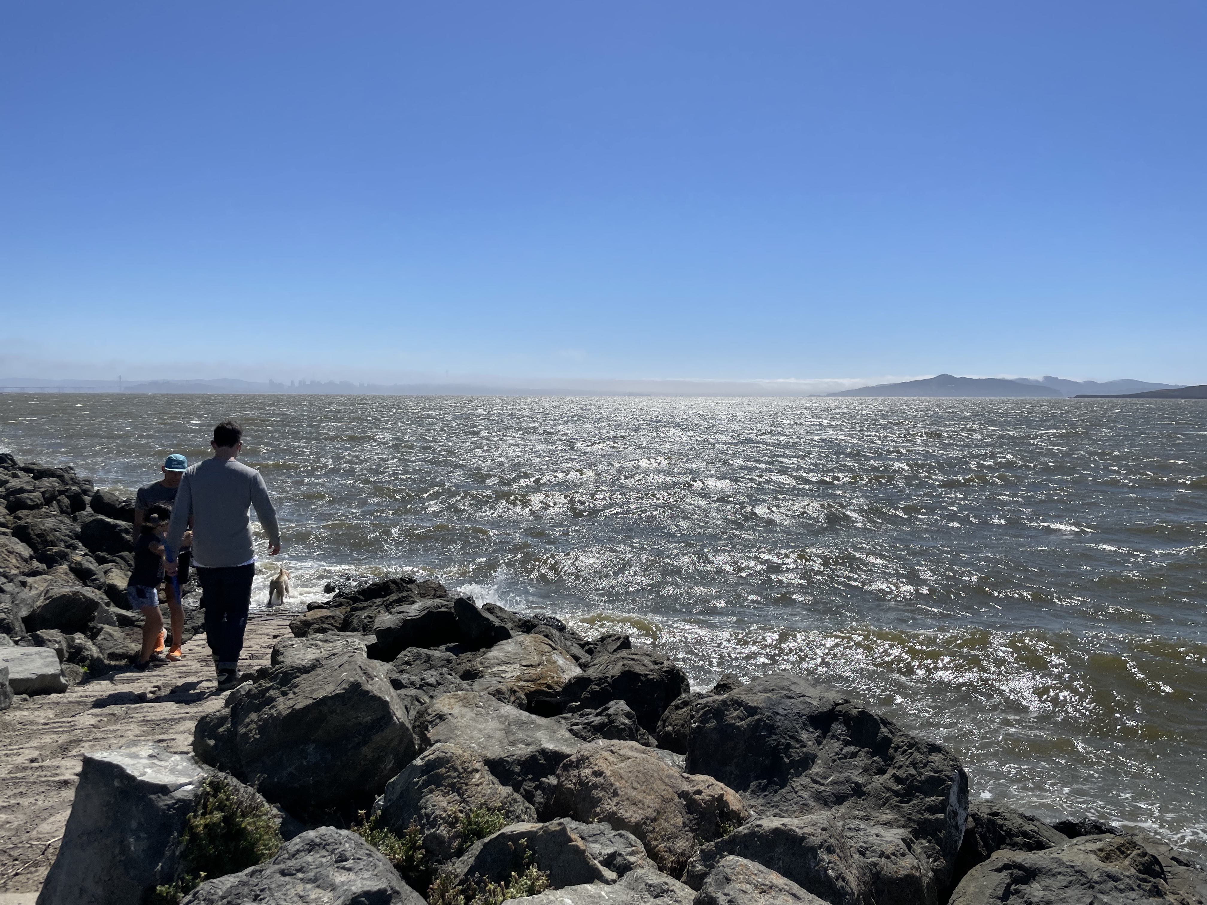 Point Isabel Richmond dog park by the bay