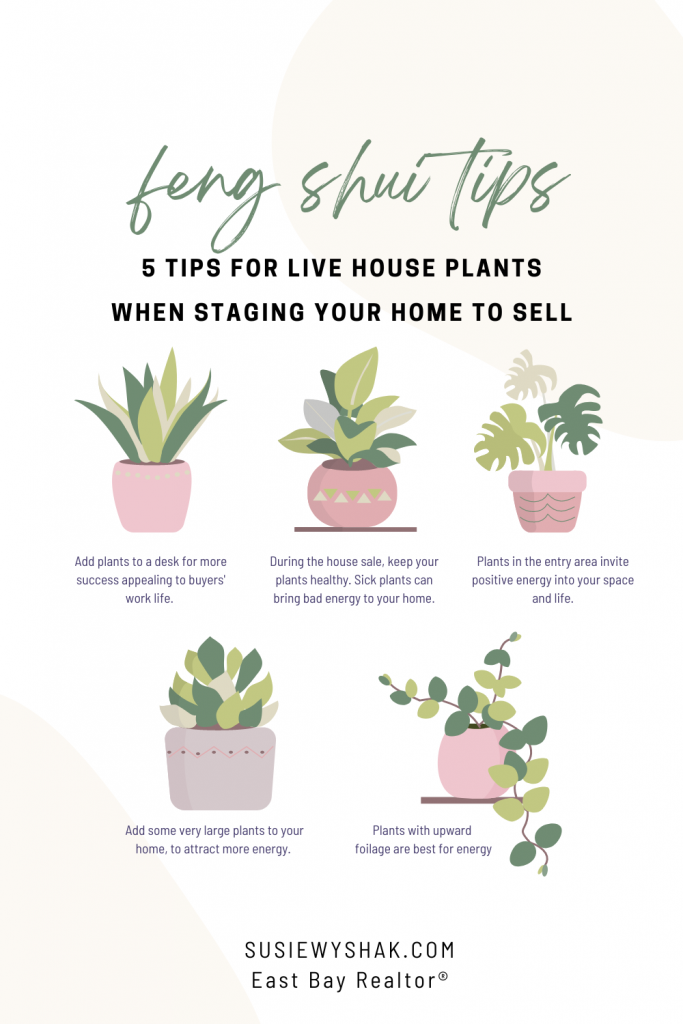 Live house plants can improve a house feng shui for sale