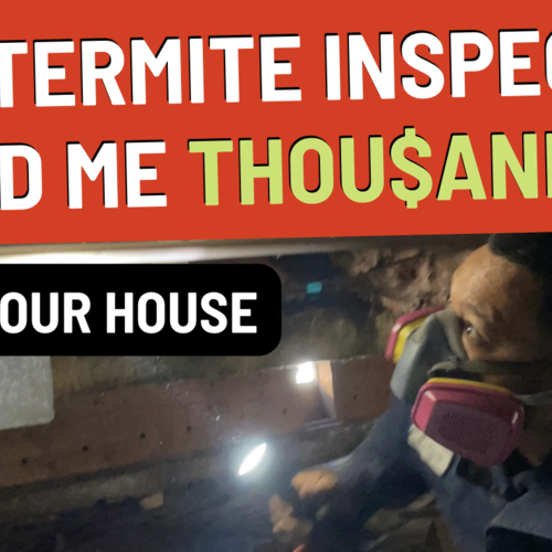Better Than a Termite Report - Follow the Pest Inspector Like I Did!