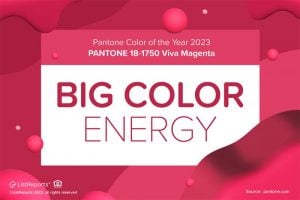 2023 Viva Magenta Pantone color of the year