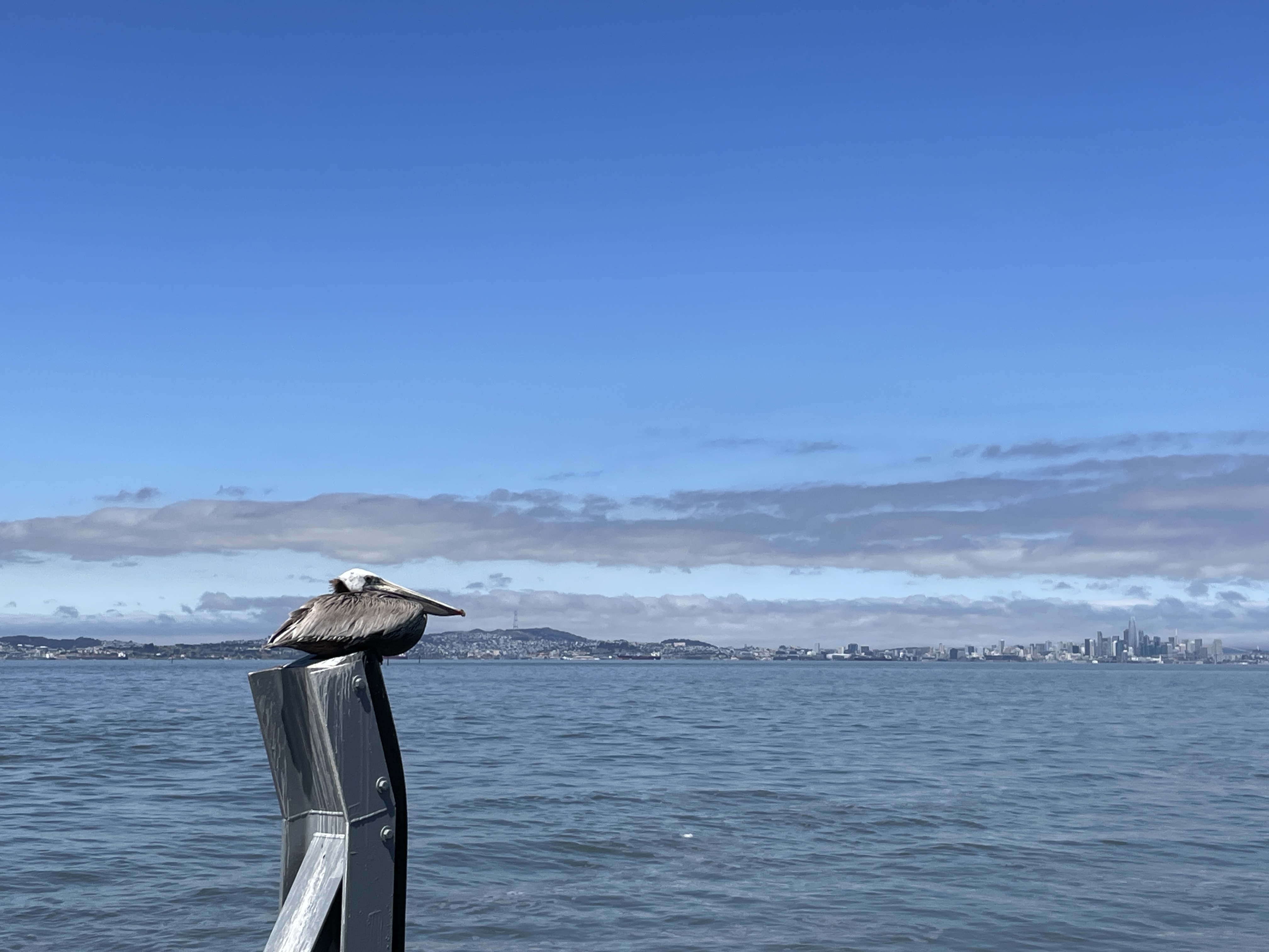 Alameda Harbor Bay ferry to San Francisco