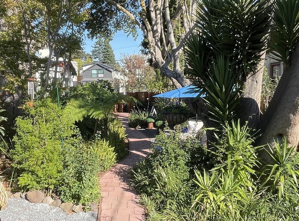 charming berkeley garden