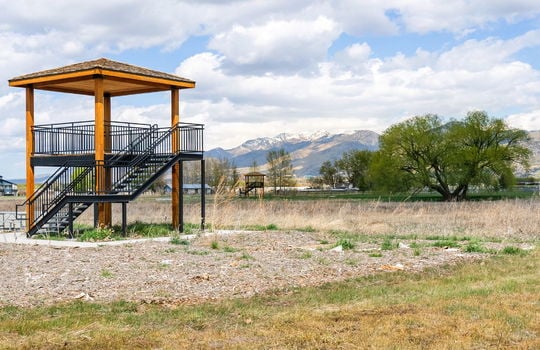 44-web-or-mls-2355-s-1155-w