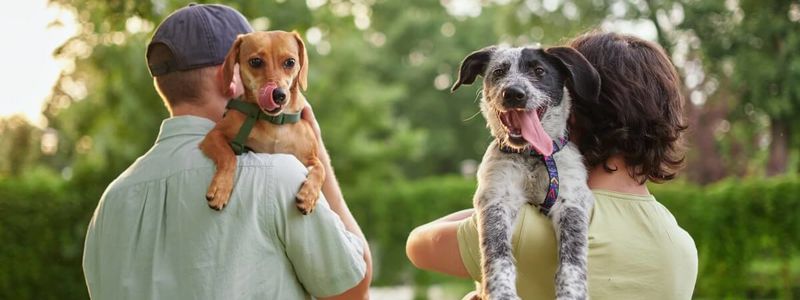 Pet Owners: Features That Quietly Add Value To &hellip;