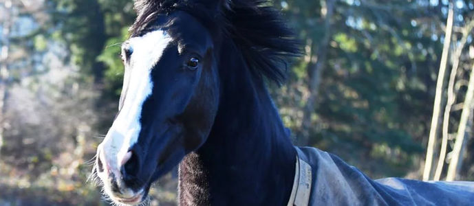 9f59a5_6dac8785ab934786b8081a6b555dd071_mv2