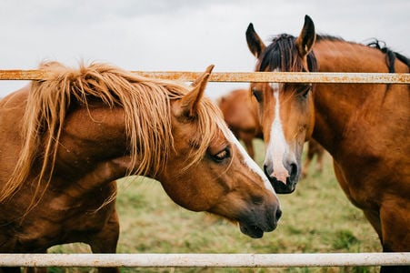 AdobeStock_192878058