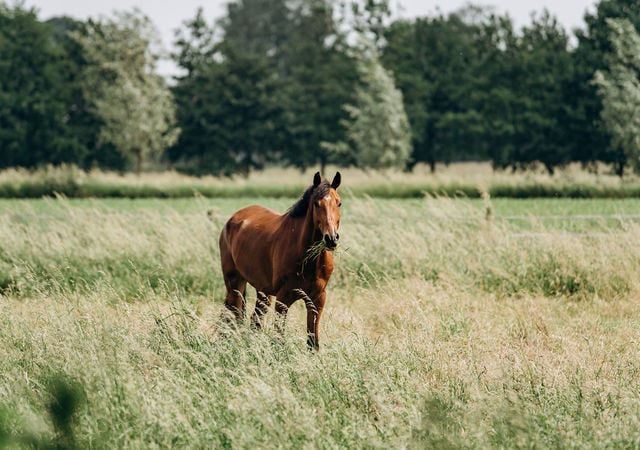 AdobeStock_309508393