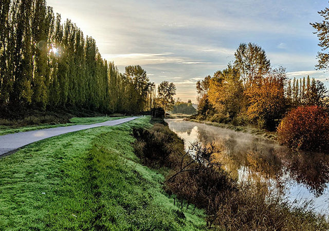 woodinville_467994279-(1)