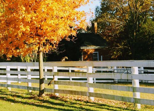 homesinoldhamcounty-equestrian-property-image