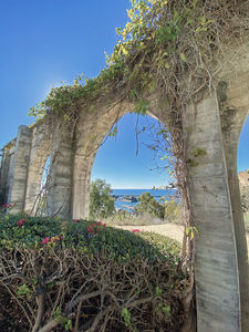 Dana Point Arches