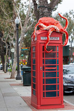 Laguna Beach phone booth