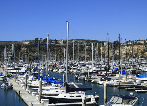 Dana Point Real Estate