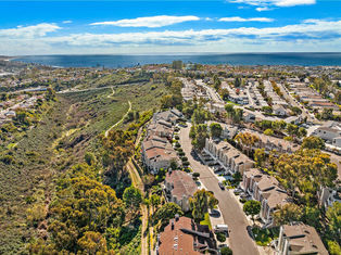 Marinita Townhomes aerial
