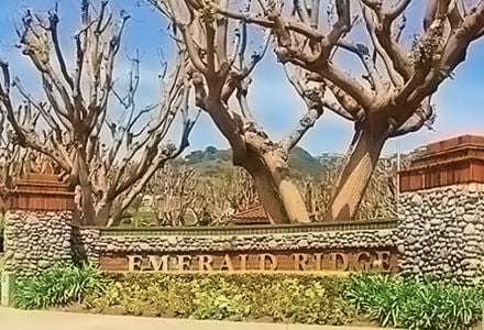 Emerald Ridge homes for sale in Monarch Beach, Dana Pointe