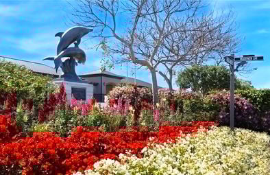 Niguel Shores Homes for sale