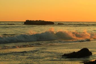 Pelican Rock North Laguna Beach