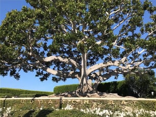 Monarch Bay Homes for sale