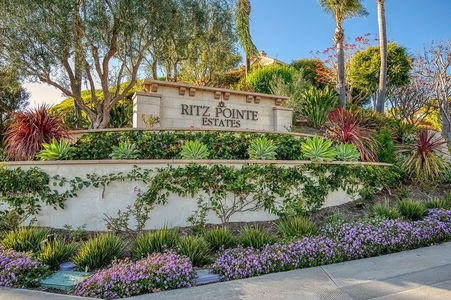 Ritz Pointe Estates homes for sale
