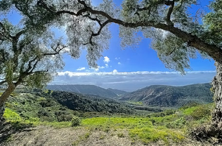 Laguna Niguel homes for sale