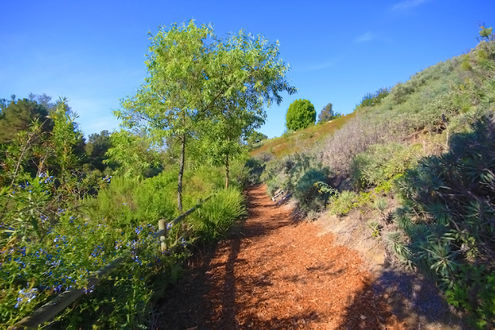 Oso Creek Trail, Mission Viejo