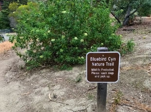 Lower Bluebird homes for sale, Laguna Beach