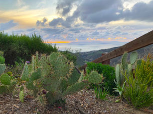 Mystic Hills homes for sale, Laguna Beach