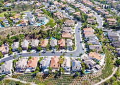 Bear Brand JM Peters