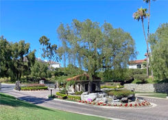 Bear Brand Ranch Custom