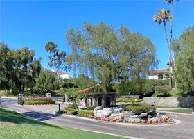 Bear Brand Ranch Custom