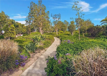 Chapparosa Park trail