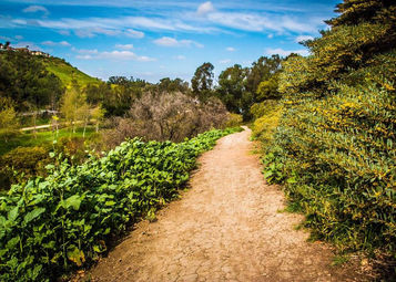 Laguna Niguel Regional Park trail