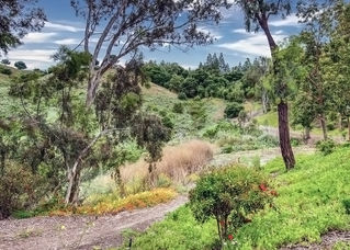 Ville de Cerise for sale, Laguna Niguel