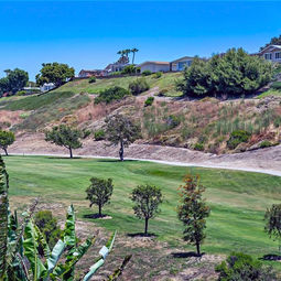 Vista Del Verde fairway view