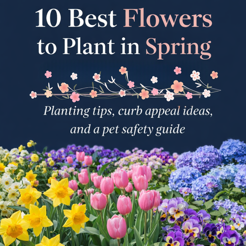 10 Best Spring Flowers to Plant in Staten Island for Beautiful Curb Appeal