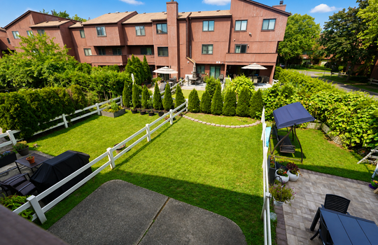 Grassy yard back view