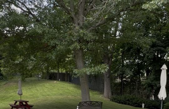 open-parklike-yard-area-amboy-rd-coop.jpg